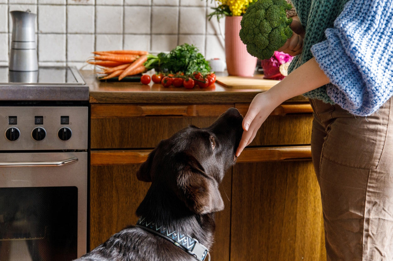 Woman petting black dog with countertop of vegetables in the background