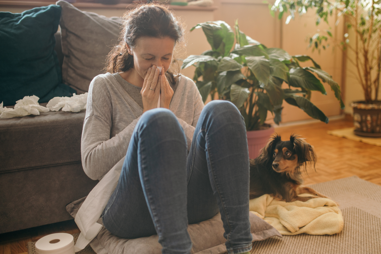 Woman sneezing into a tissue next to her dog