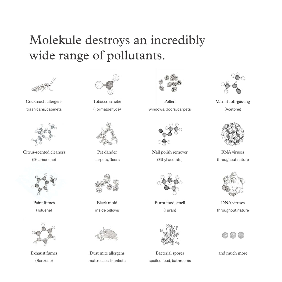 Molekule destroys an incredibly wide range of pollutants. Cockroach allergens. Tobacco smoke. Pollen. Varnish off-gassing. Citrus-scented cleaners. Pet dander. Nail polish remover. RNA viruses. Paint fumes. Black mold. Burnt food smell. DNA viruses. Exhaust fumes. Dust mite allergens. Bacterial spores. And much more. 