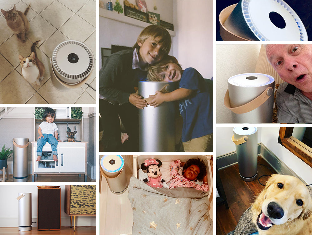 Collage of happy Molekule air purifier owners