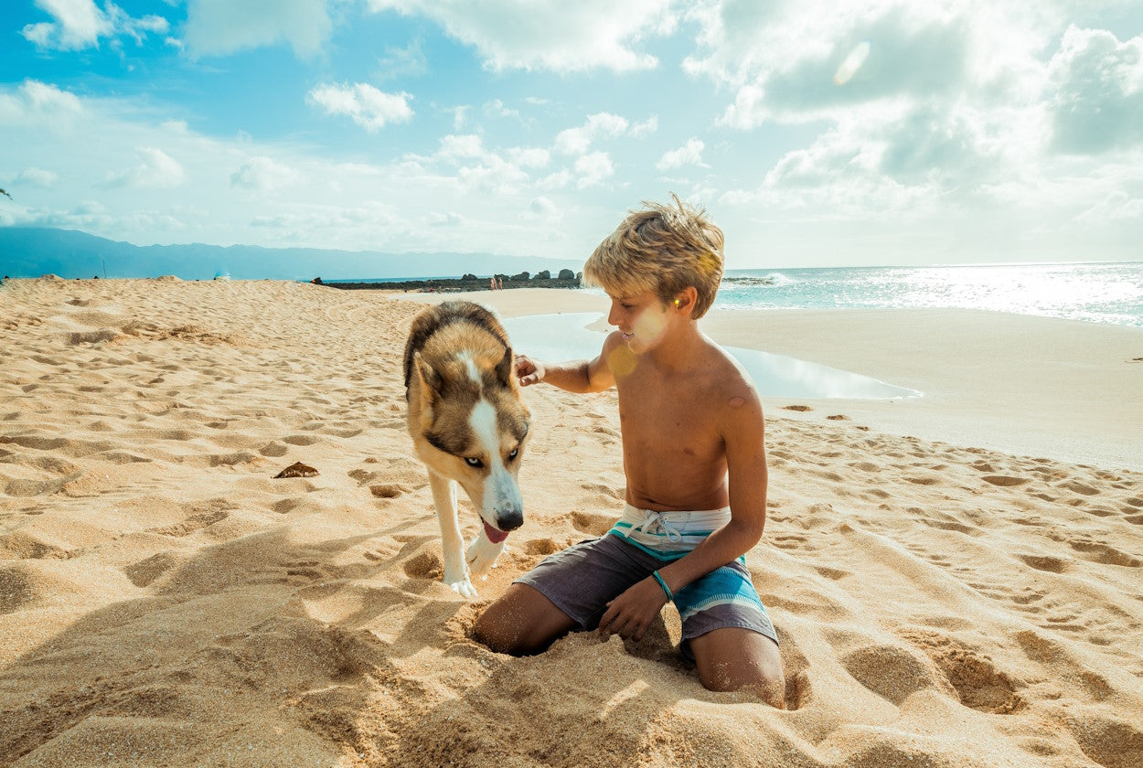 Boy and dog on beach