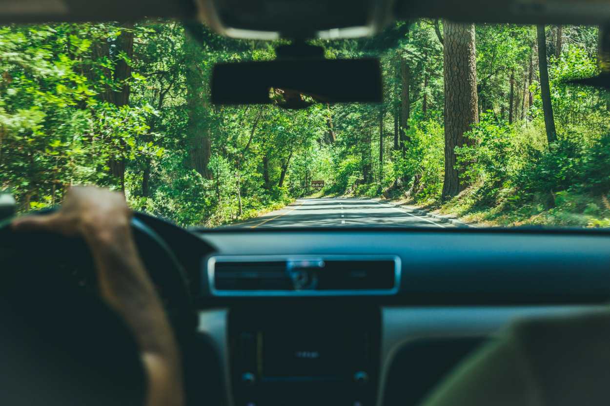 View from behind a driver and they drive through a green forested area