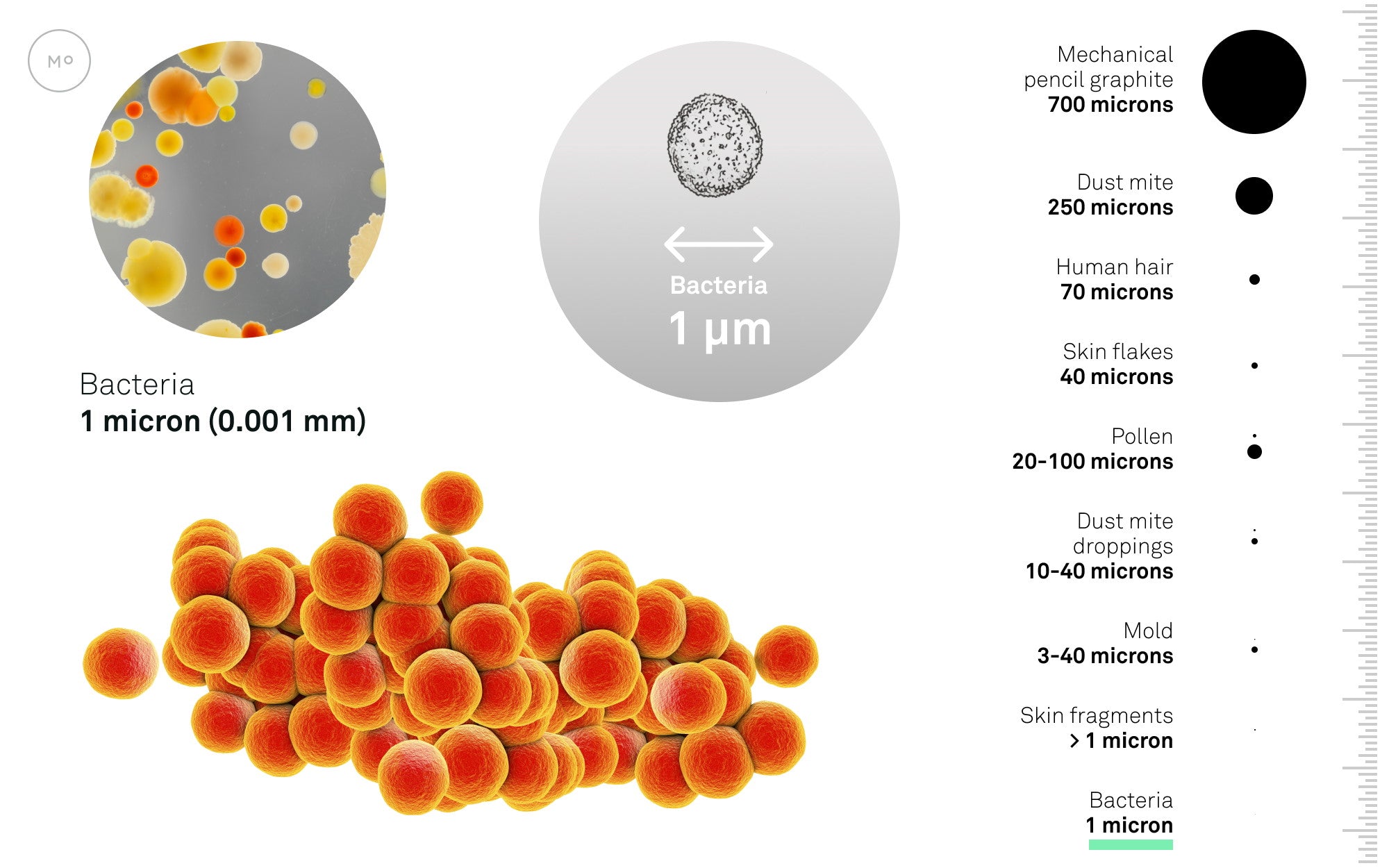 Comparison of particles to bacteria