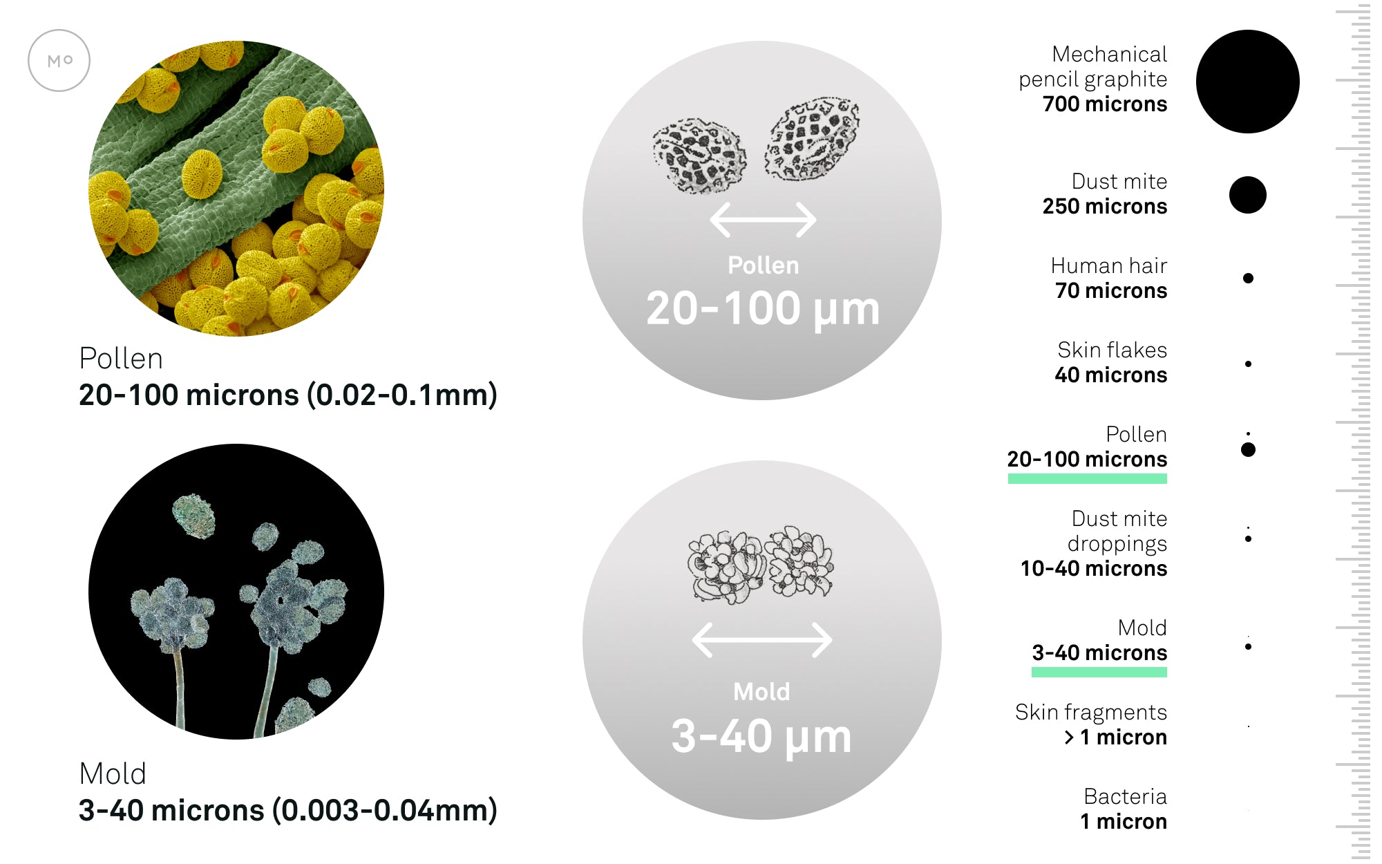 Comparison of particle sizes to pollen and mold