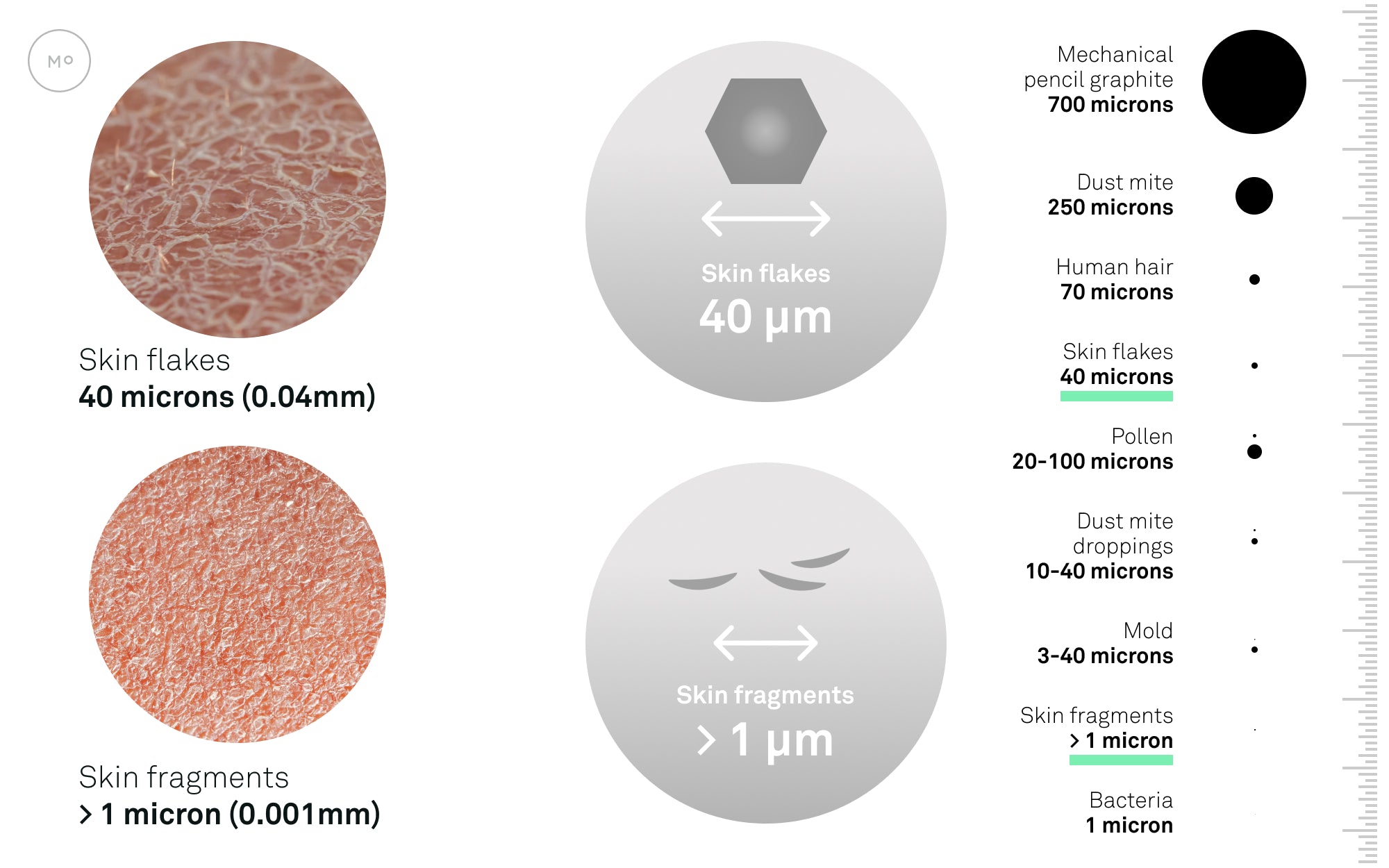 Comparison of particles to skin flakes and skin fragments