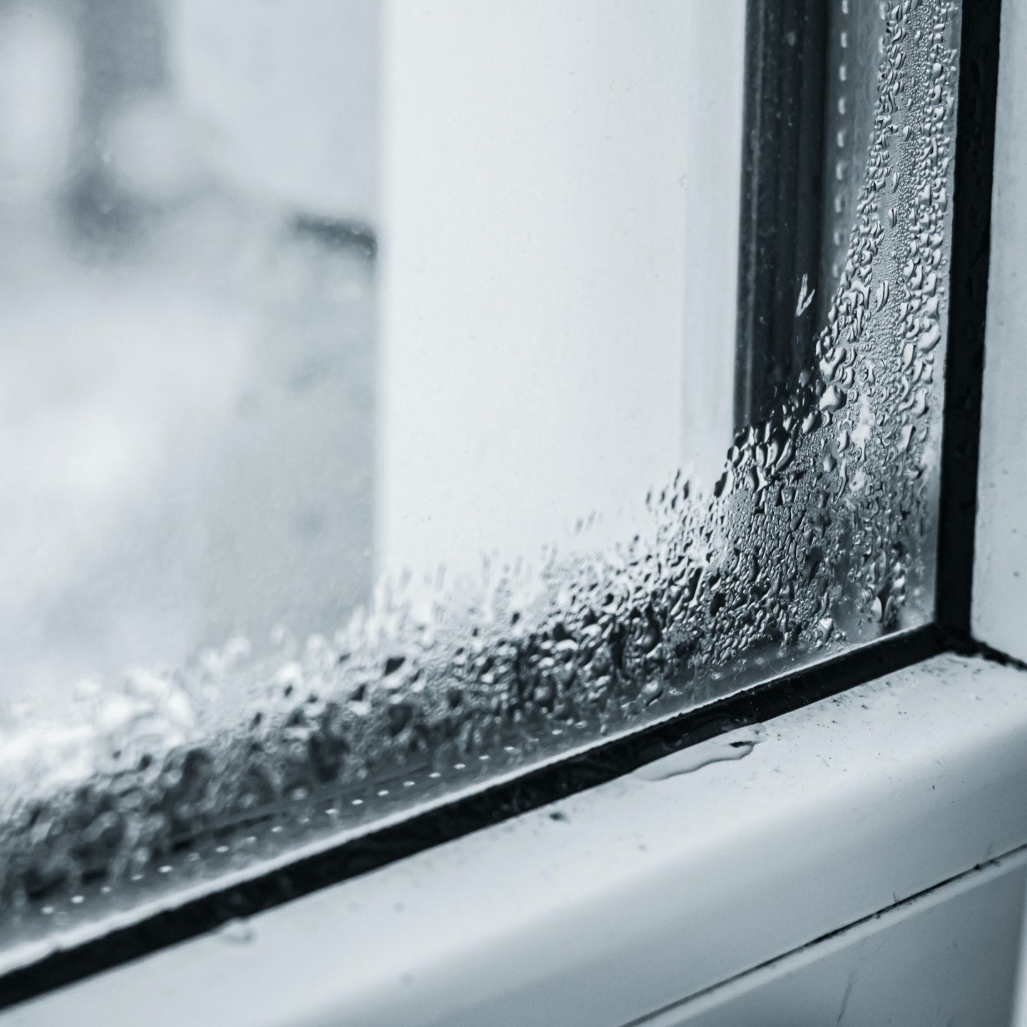 Condensation on a window with mold on the sill 