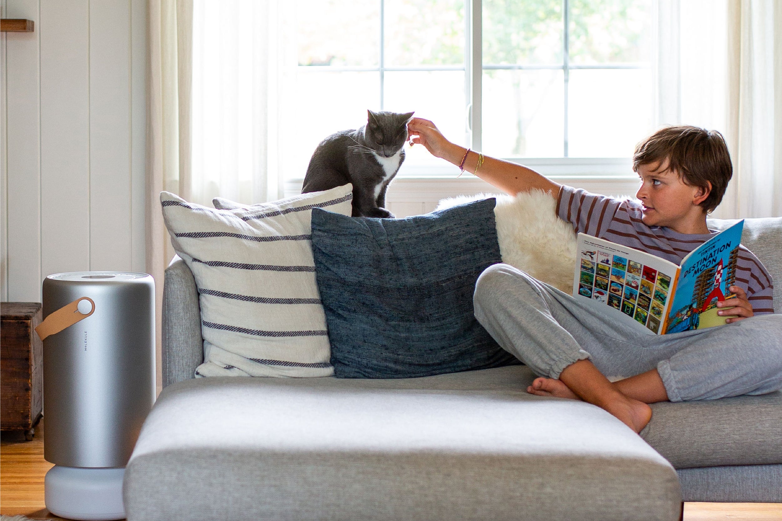 A teenager sits in a living room, petting a gray cat. An air purifier sits at the end of the couch.