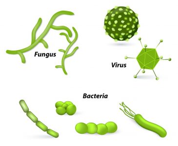 Graphic illustration of fungus, virus, and bacteria pollutants