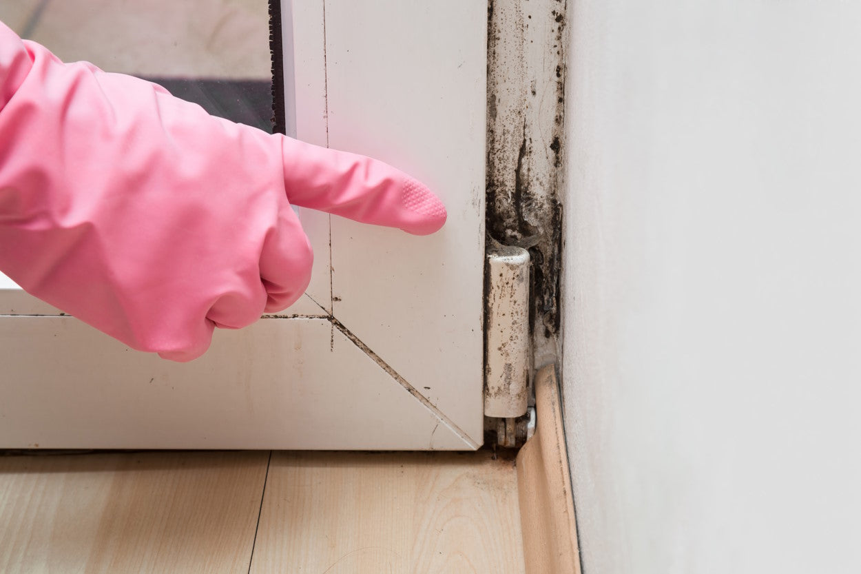 Gloved hand pointing to mold around a door hinge